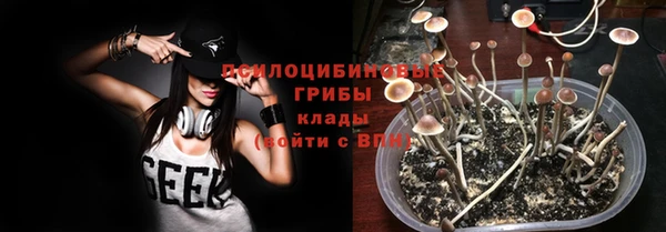 стаф Сясьстрой