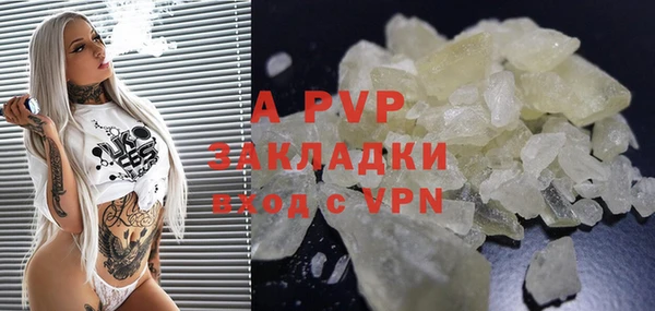 сатива Тайга