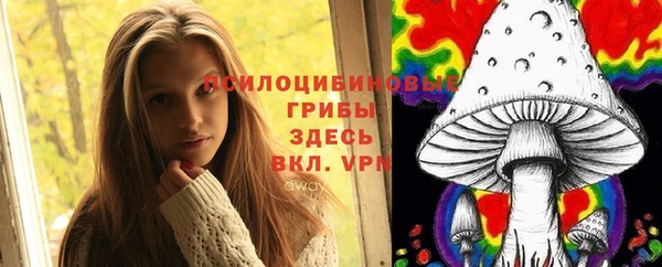 Альфа ПВП Тавда