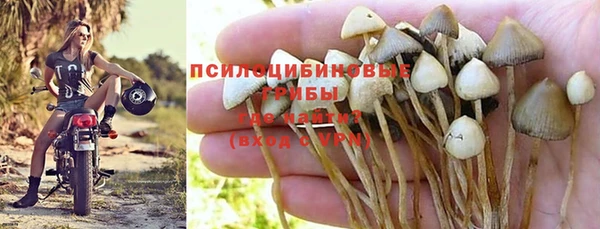 Альфа ПВП Тавда