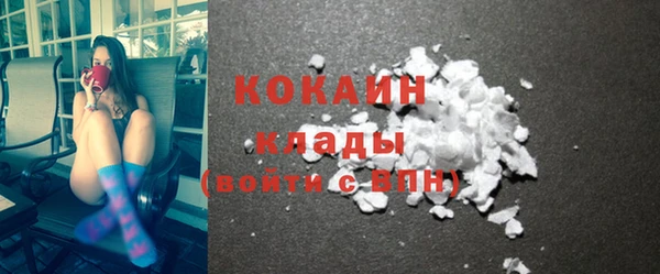 стаф Сясьстрой