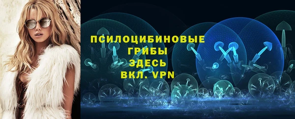 сатива Тайга