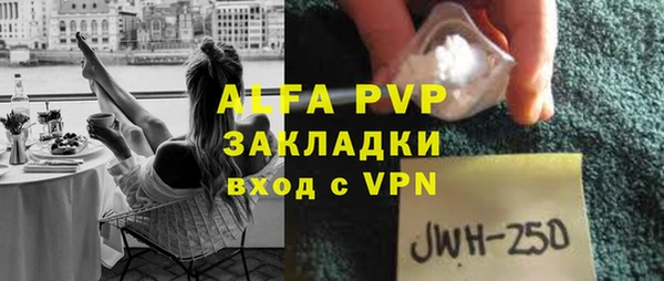 сатива Тайга