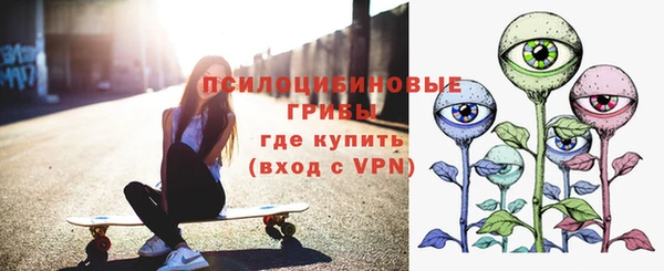 сатива Тайга