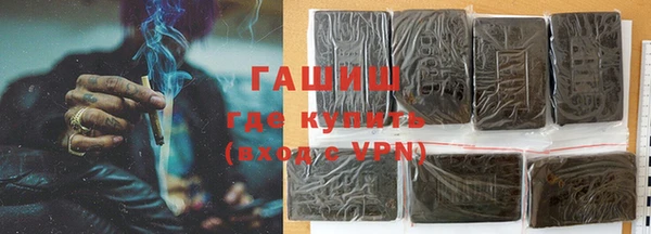 сатива Тайга