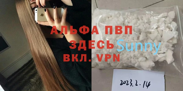 сатива Тайга