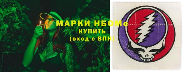 сатива Тайга