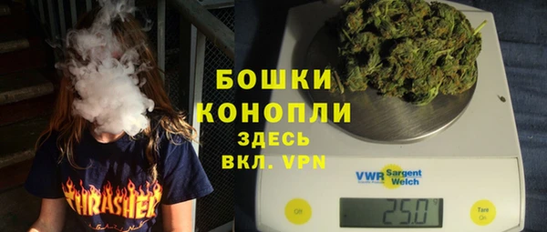 стаф Сясьстрой
