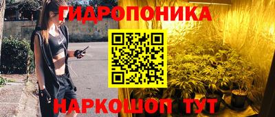 гидра Гусев