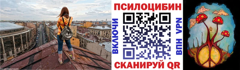 цены наркотик  мориарти клад  Галлюциногенные грибы прущие грибы  Рыбинск 