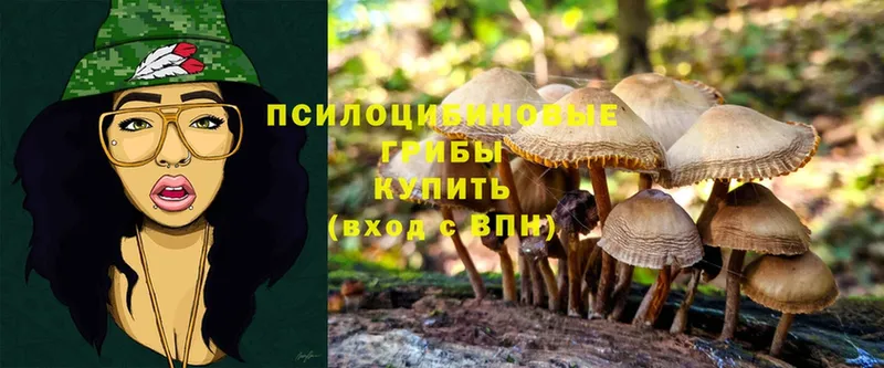 Псилоцибиновые грибы Psilocybine cubensis  купить   Рыбинск 