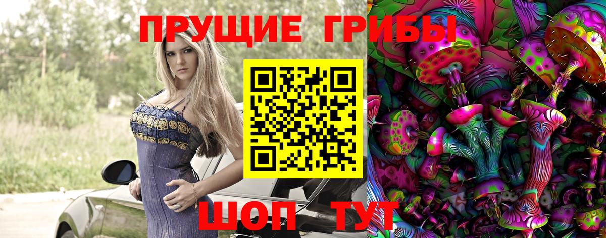 Псилоцибиновые грибы Psilocybine cubensis  Рыбинск  Псилоцибиновые грибы Psilocybe 