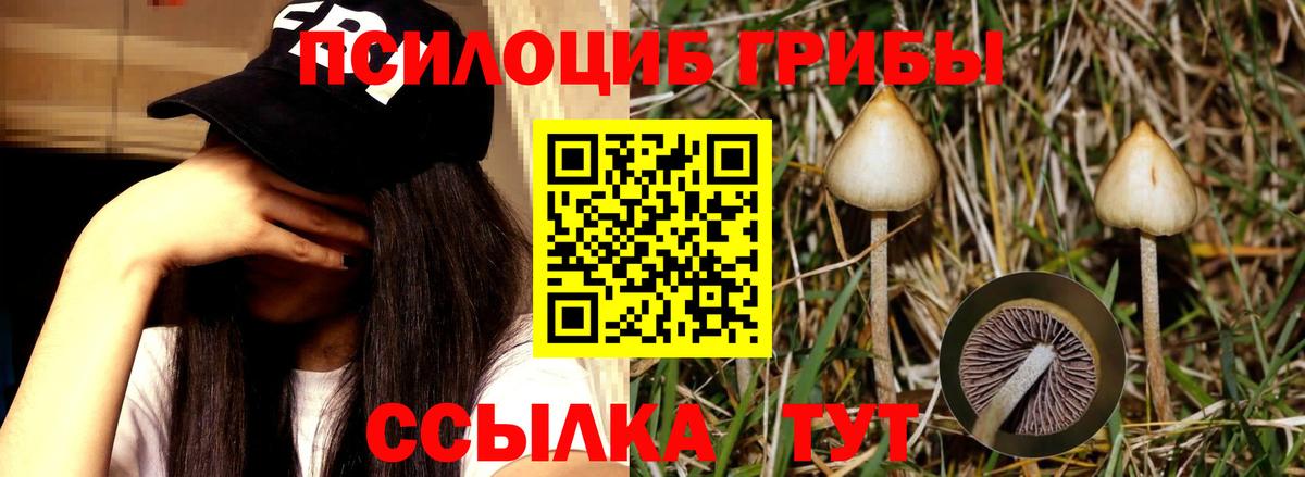 Галлюциногенные грибы мухоморы  Вход с VPN  Псилоцибиновые грибы Magic Shrooms  цены наркотик  Рыбинск 